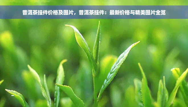 普洱茶挂件价格及图片，普洱茶挂件：最新价格与精美图片全览