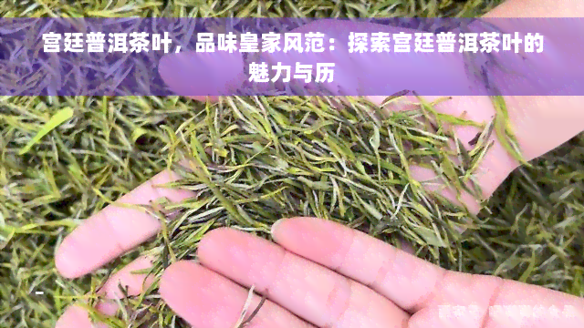 宫廷普洱茶叶，品味皇家风范：探索宫廷普洱茶叶的魅力与历