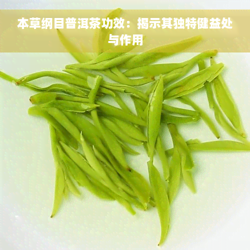 本草纲目普洱茶功效：揭示其独特健益处与作用