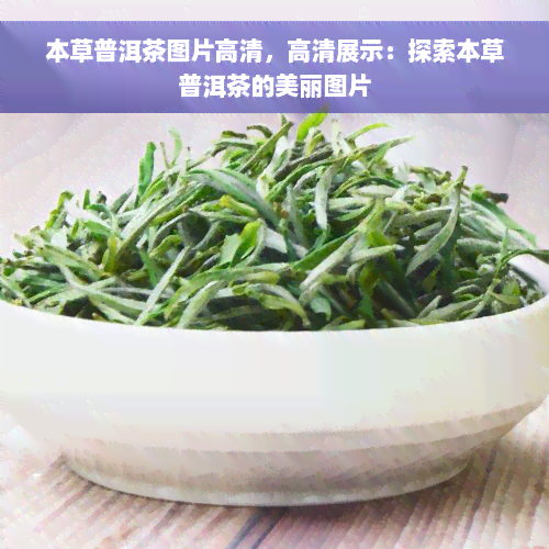 本草普洱茶图片高清，高清展示：探索本草普洱茶的美丽图片