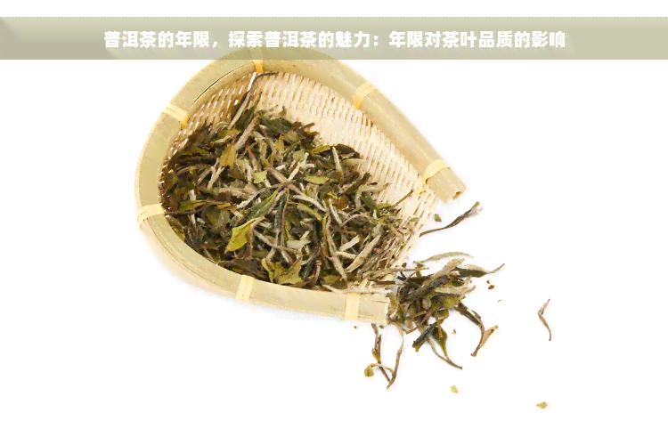 普洱茶的年限，探索普洱茶的魅力：年限对茶叶品质的影响