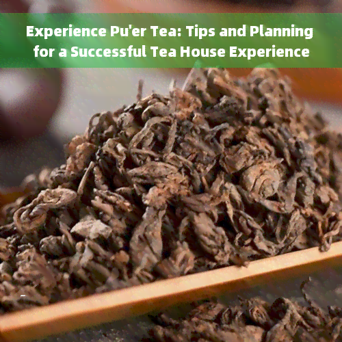 Experience Pu'er Tea: Tips and Planning for a Successful Tea House Experience