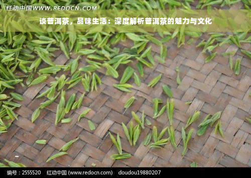 谈普洱茶，品味生活：深度解析普洱茶的魅力与文化