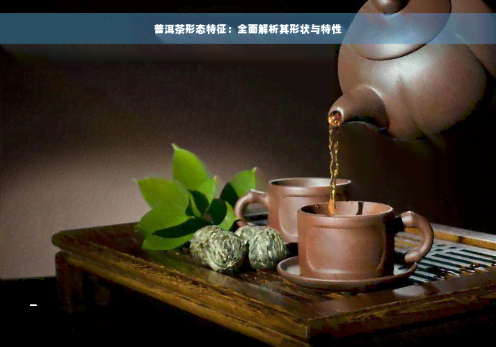 普洱茶形态特征：全面解析其形状与特性