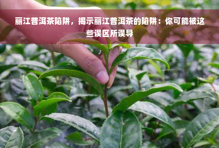 丽江普洱茶陷阱，揭示丽江普洱茶的陷阱：你可能被这些误区所误导