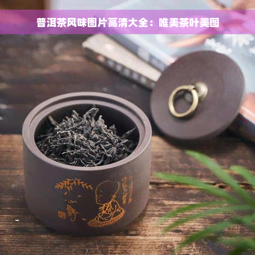 普洱茶风味图片高清大全：唯美茶叶美图