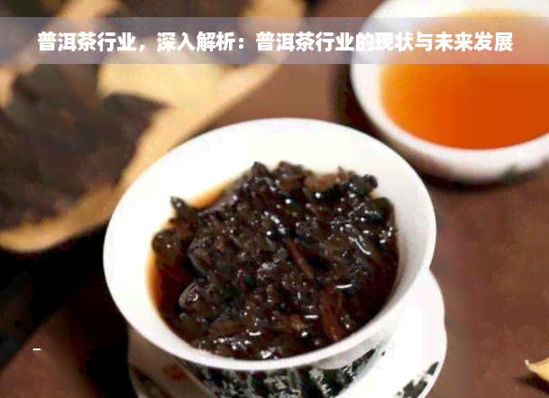 普洱茶行业，深入解析：普洱茶行业的现状与未来发展