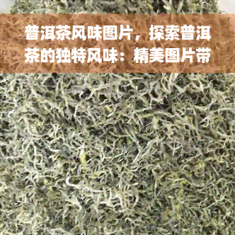 普洱茶风味图片，探索普洱茶的独特风味：精美图片带你领略其魅力！