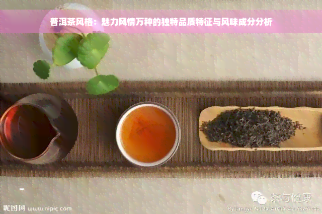 普洱茶风格：魅力风情万种的独特品质特征与风味成分分析