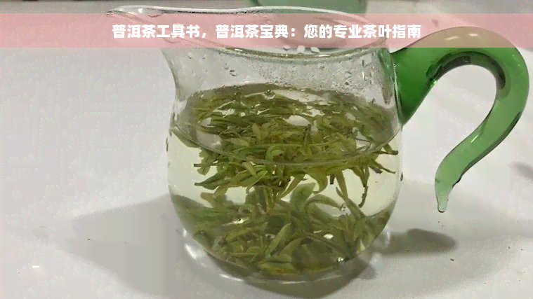 普洱茶工具书，普洱茶宝典：您的专业茶叶指南