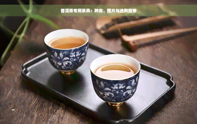 普洱茶专用茶具：种类、图片与选购指南