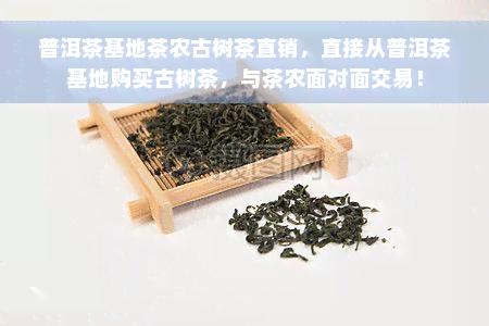 普洱茶基地茶农古树茶直销，直接从普洱茶基地购买古树茶，与茶农面对面交易！