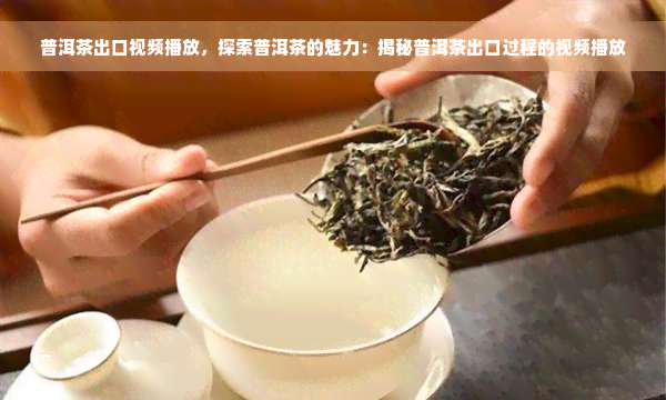 普洱茶出口视频播放，探索普洱茶的魅力：揭秘普洱茶出口过程的视频播放