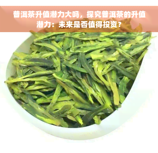 普洱茶升值潜力大吗，探究普洱茶的升值潜力：未来是否值得投资？