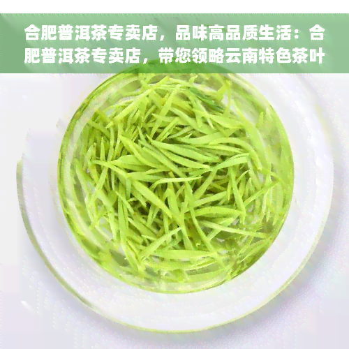 合肥普洱茶专卖店，品味高品质生活：合肥普洱茶专卖店，带您领略云南特色茶叶的魅力