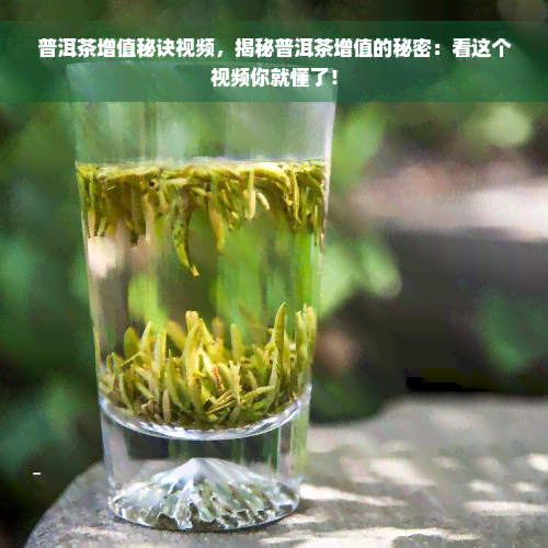 普洱茶增值秘诀视频，揭秘普洱茶增值的秘密：看这个视频你就懂了！