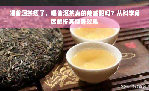 喝普洱茶瘦了，喝普洱茶真的能减肥吗？从科学角度解析其瘦身效果