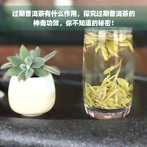 过期普洱茶有什么作用，探究过期普洱茶的神奇功效，你不知道的秘密！