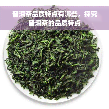 普洱茶品质特点有哪些，探究普洱茶的品质特点