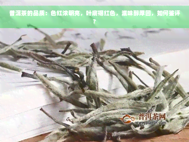 普洱茶的品质：色红浓明亮，叶底褐红色，滋味醇厚回，如何鉴评?