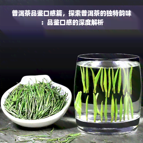 普洱茶品鉴口感篇，探索普洱茶的独特韵味：品鉴口感的深度解析