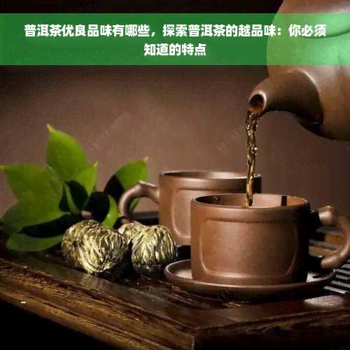 普洱茶优良品味有哪些，探索普洱茶的越品味：你必须知道的特点