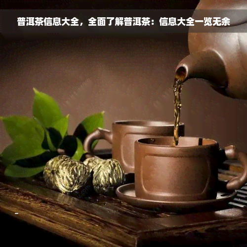 普洱茶信息大全，全面了解普洱茶：信息大全一览无余