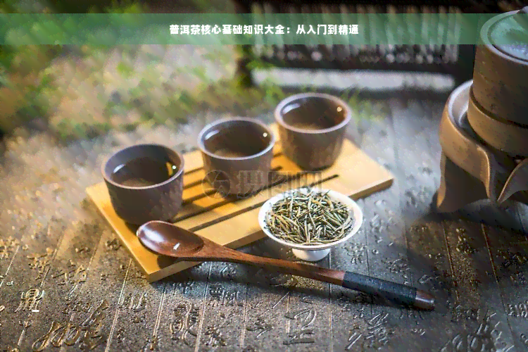 普洱茶核心基础知识大全：从入门到精通