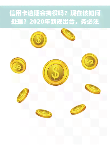 信用卡逾期会拘役吗？现在该如何处理？2020年新规出台，务必注意！