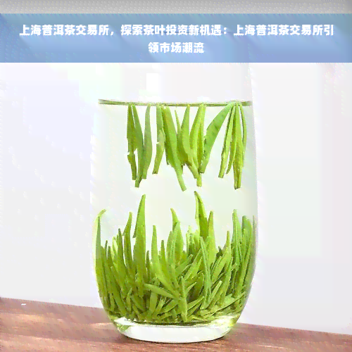 上海普洱茶交易所，探索茶叶投资新机遇：上海普洱茶交易所引领市场潮流