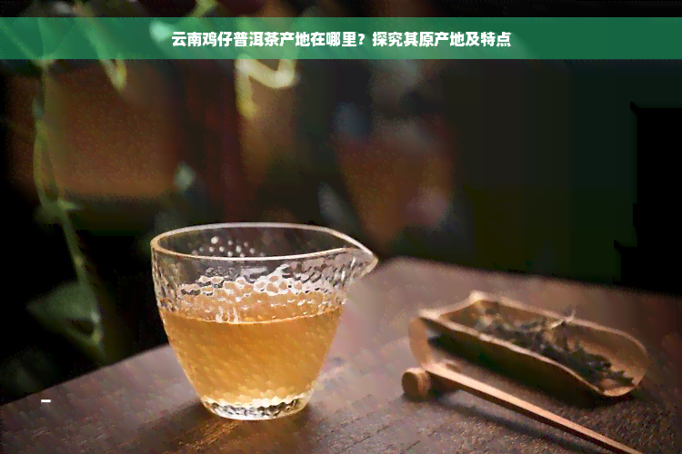 云南鸡仔普洱茶产地在哪里？探究其原产地及特点