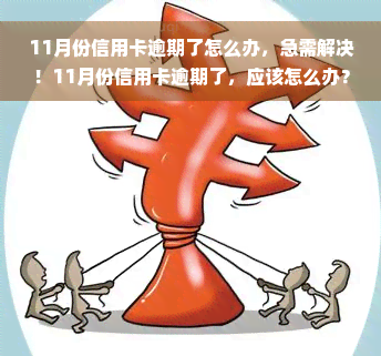 11月份信用卡逾期了怎么办，急需解决！11月份信用卡逾期了，应该怎么办？