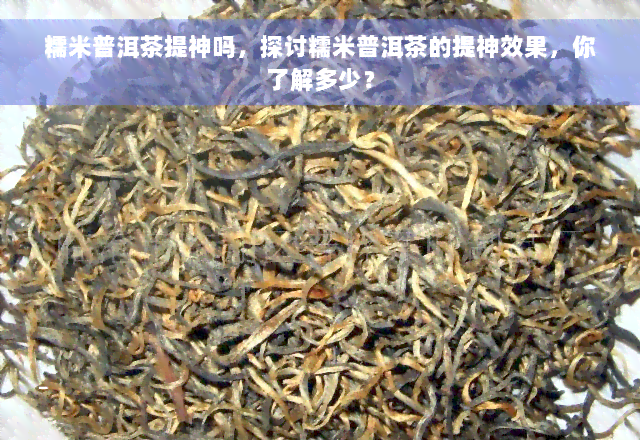 糯米普洱茶提神吗，探讨糯米普洱茶的提神效果，你了解多少？