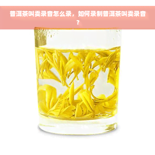 普洱茶叫卖录音怎么录，如何录制普洱茶叫卖录音？