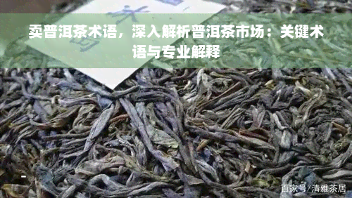 卖普洱茶术语，深入解析普洱茶市场：关键术语与专业解释