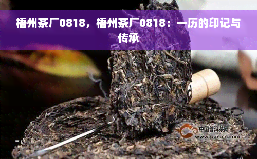 梧州茶厂0818，梧州茶厂0818：一历的印记与传承