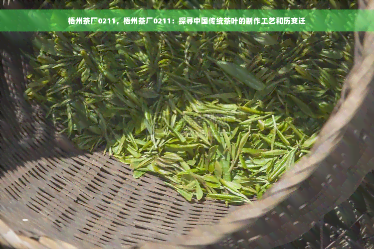 梧州茶厂0211，梧州茶厂0211：探寻中国传统茶叶的制作工艺和历变迁