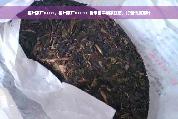 梧州茶厂0101，梧州茶厂0101：传承百年制茶技艺，打造优质茶叶