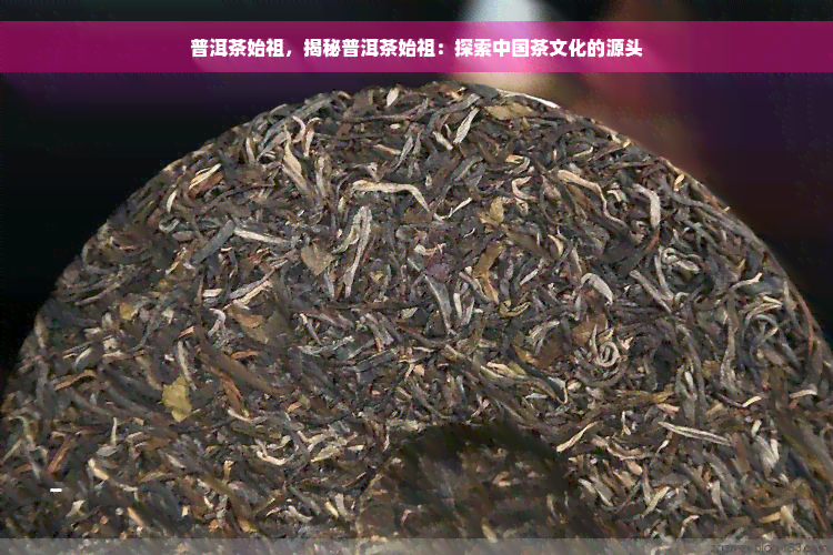 普洱茶始祖，揭秘普洱茶始祖：探索中国茶文化的源头