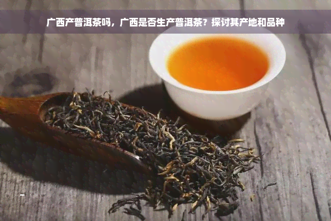 广西产普洱茶吗，广西是否生产普洱茶？探讨其产地和品种