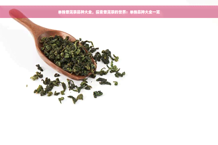 单株普洱茶品种大全，探索普洱茶的世界：单株品种大全一览