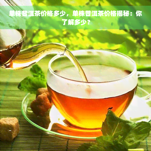 单株普洱茶价格多少，单株普洱茶价格揭秘：你了解多少？