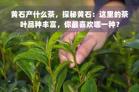 黄石产什么茶，探秘黄石：这里的茶叶品种丰富，你最喜欢哪一种？