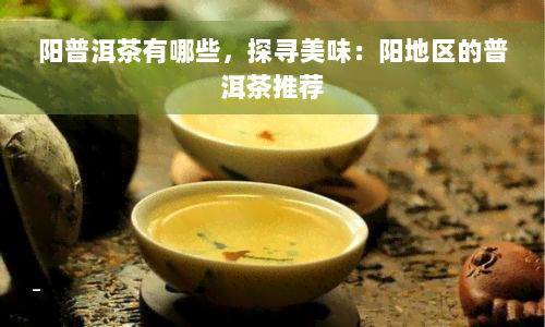 阳普洱茶有哪些，探寻美味：阳地区的普洱茶推荐