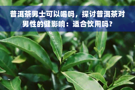 普洱茶男士可以喝吗，探讨普洱茶对男性的健影响：适合饮用吗？