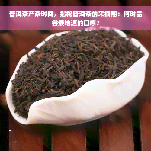 普洱茶产茶时间，揭秘普洱茶的采摘期：何时品尝最地道的口感？