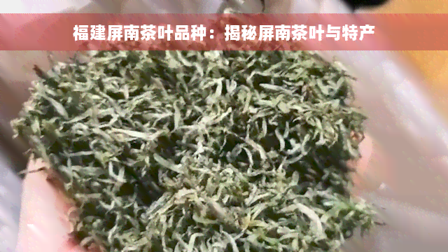 福建屏南茶叶品种：揭秘屏南茶叶与特产