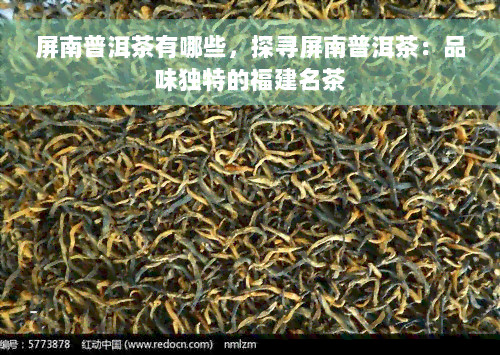 屏南普洱茶有哪些，探寻屏南普洱茶：品味独特的福建名茶