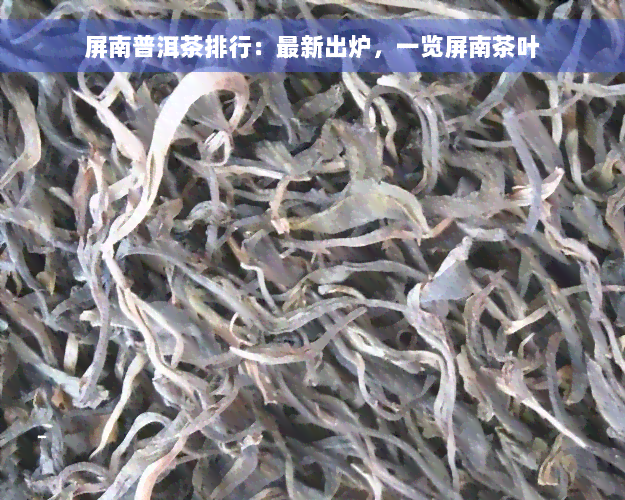 屏南普洱茶排行：最新出炉，一览屏南茶叶