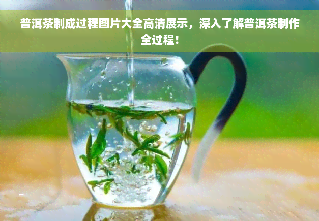 普洱茶制成过程图片大全高清展示，深入了解普洱茶制作全过程！